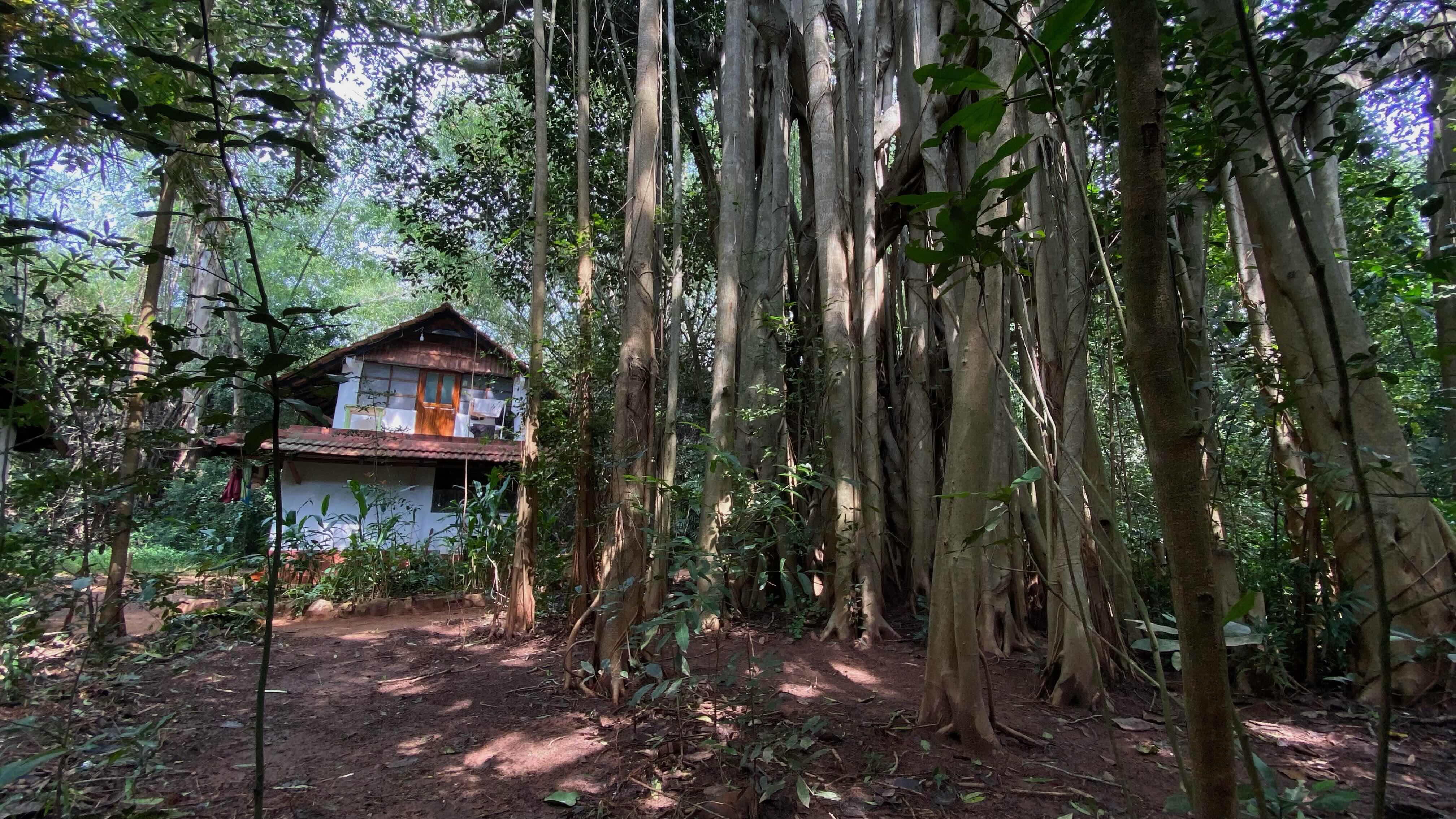 AstroWind Hero Image